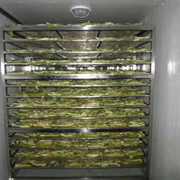 Fruit and Vegetable Oven Drying Baker Kiln Food Drying Box