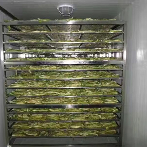 Fruit and Vegetable Oven Drying Baker Kiln Food Drying Box