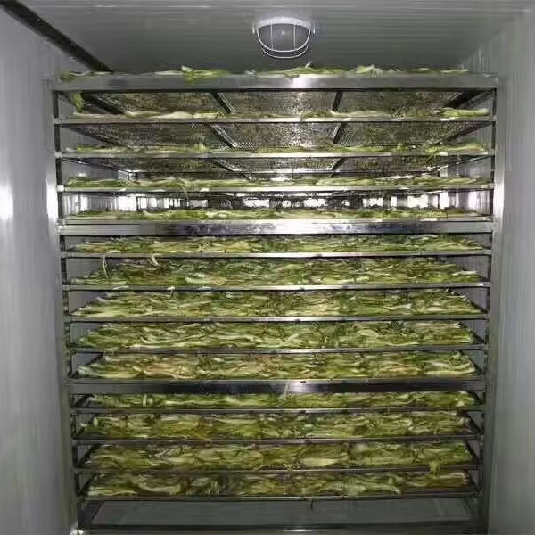<img src="https://gw.alicdn.com/imgextra/i2/O1CN01FVeoVV1lsnsXFMV70_!!6000000004875-2-tps-512-198.png">New Product Used Commercial Fruits Dehydrator Stainless Steel Food Dehydrator