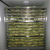 <img src="https://gw.alicdn.com/imgextra/i2/O1CN01FVeoVV1lsnsXFMV70_!!6000000004875-2-tps-512-198.png">Heat Pump Peach Strawberry Pear Plum Dryer Machine Deshidratadora De Alimentos