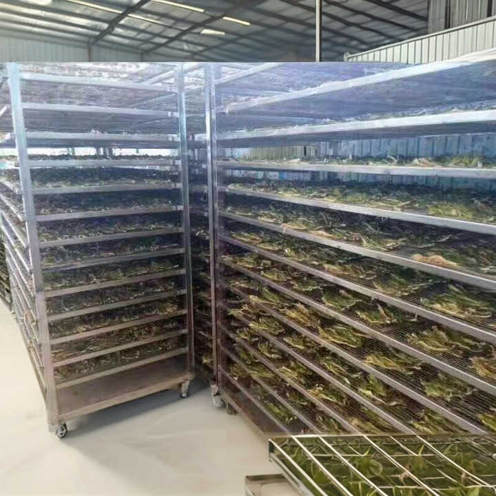 Professional Manufacturer Supply Fruit and Vegetable Drying Machine Drying Fruit Machine Fruit Dehydrator Drying Machine