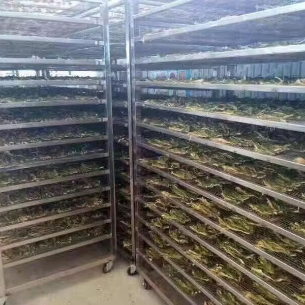 Hot Sale Fruit Dryer Dehydrator for Fruits and Vegetables Fruits Dehydrator Stainless Steel Food Dehydrator