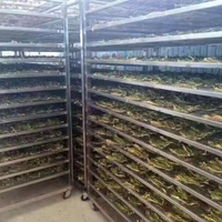 Leaf Dehumidifier Type Integrated Drying Machine Food Dehydrator Grape Fish Vegetable Electric Fruit Dryer