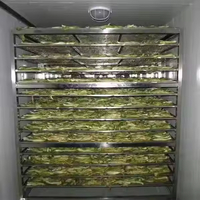 Professional Manufacturer Supply Fruit and Vegetable Drying Machine Drying Fruit Machine Fruit Dehydrator Drying Machine