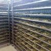 <img src="https://gw.alicdn.com/imgextra/i2/O1CN01FVeoVV1lsnsXFMV70_!!6000000004875-2-tps-512-198.png">New Product Used Commercial Fruits Dehydrator Stainless Steel Food Dehydrator